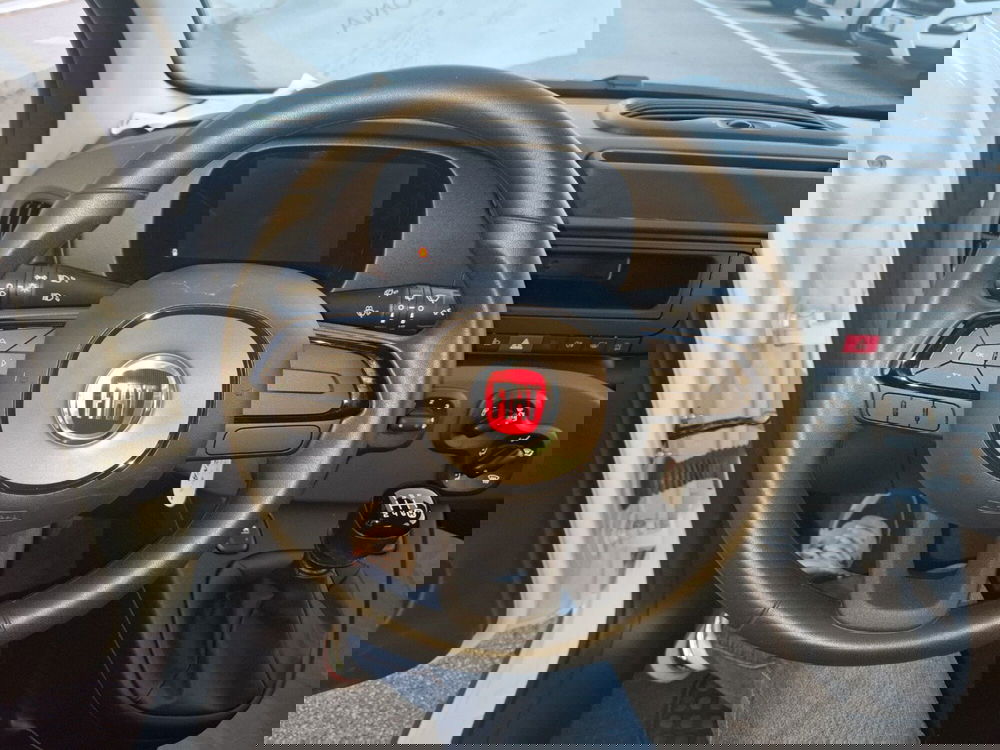 Fiat Panda Cross nuova a Ancona (19)