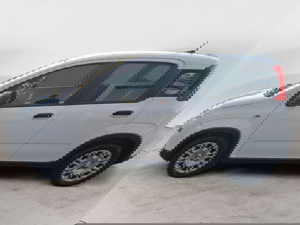 Fiat Panda Cross nuova a Ancona (2)