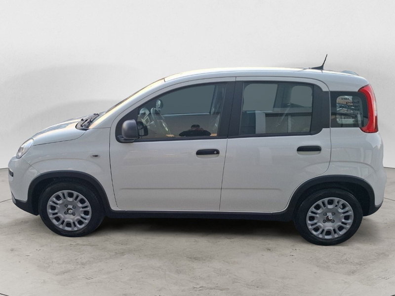 Fiat Panda Cross nuova a Ancona (2)