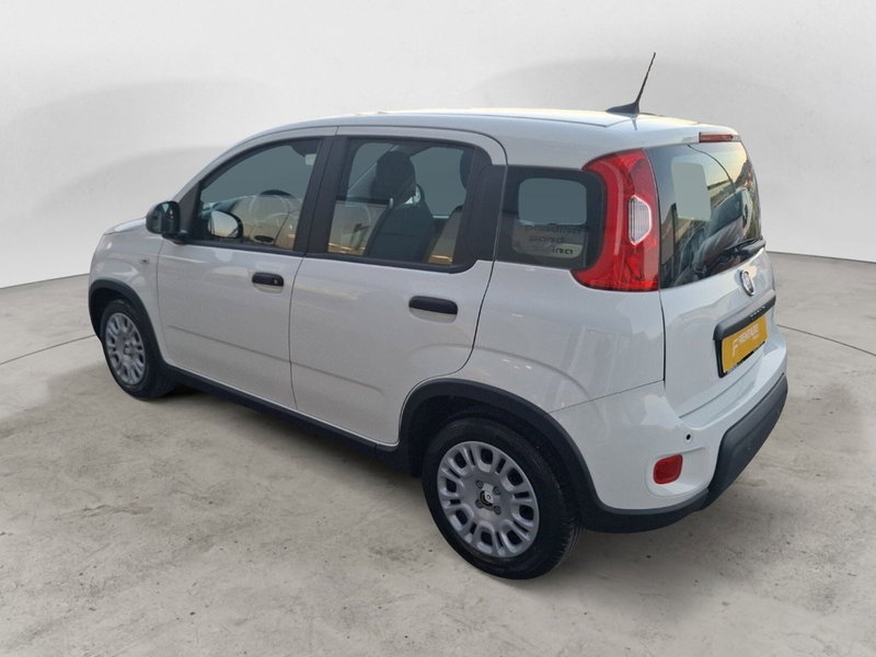 Fiat Panda Cross nuova a Ancona (3)