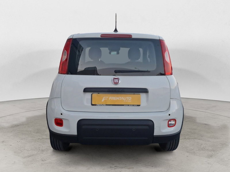 Fiat Panda Cross nuova a Ancona (4)