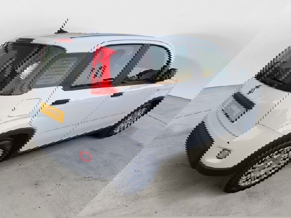 Fiat Panda Cross nuova a Ancona (5)