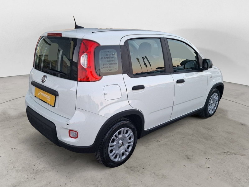 Fiat Panda Cross nuova a Ancona (5)