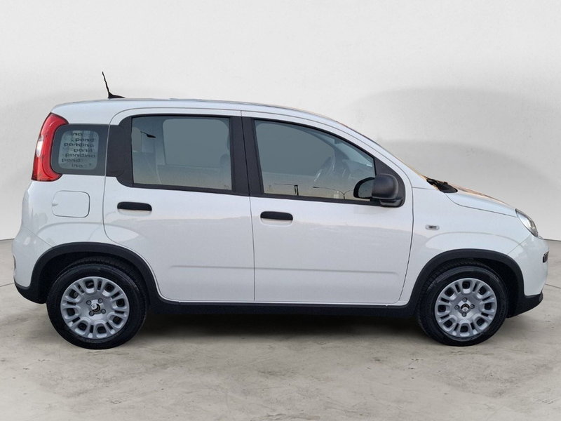 Fiat Panda Cross nuova a Ancona (6)