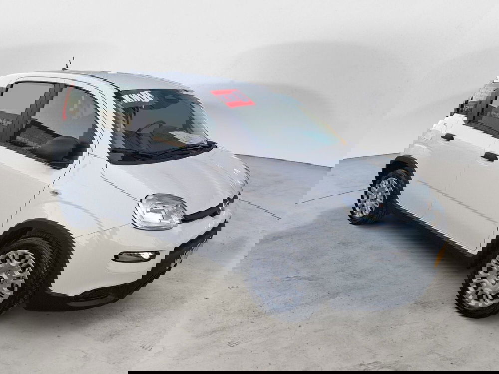 Fiat Panda Cross nuova a Ancona (7)