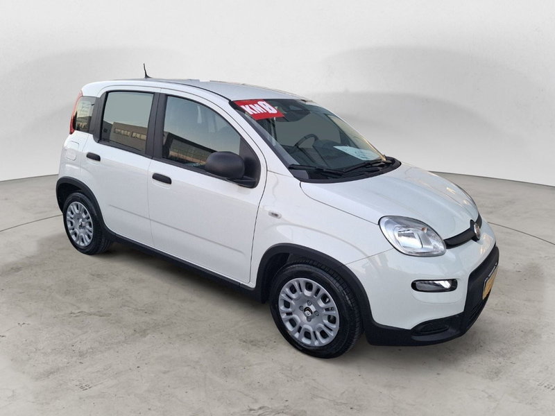 Fiat Panda Cross nuova a Ancona (7)