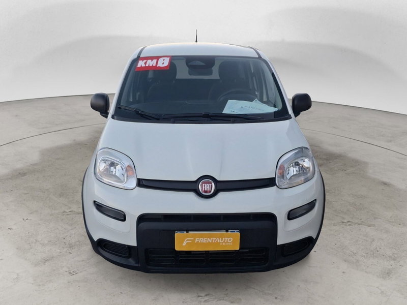 Fiat Panda Cross nuova a Ancona (8)