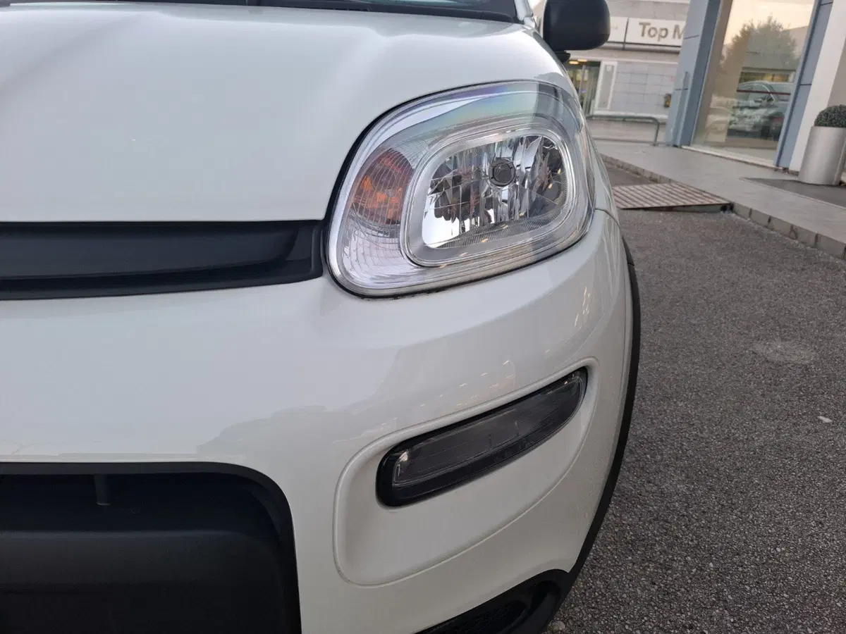 Fiat Panda Cross nuova a Ancona (9)