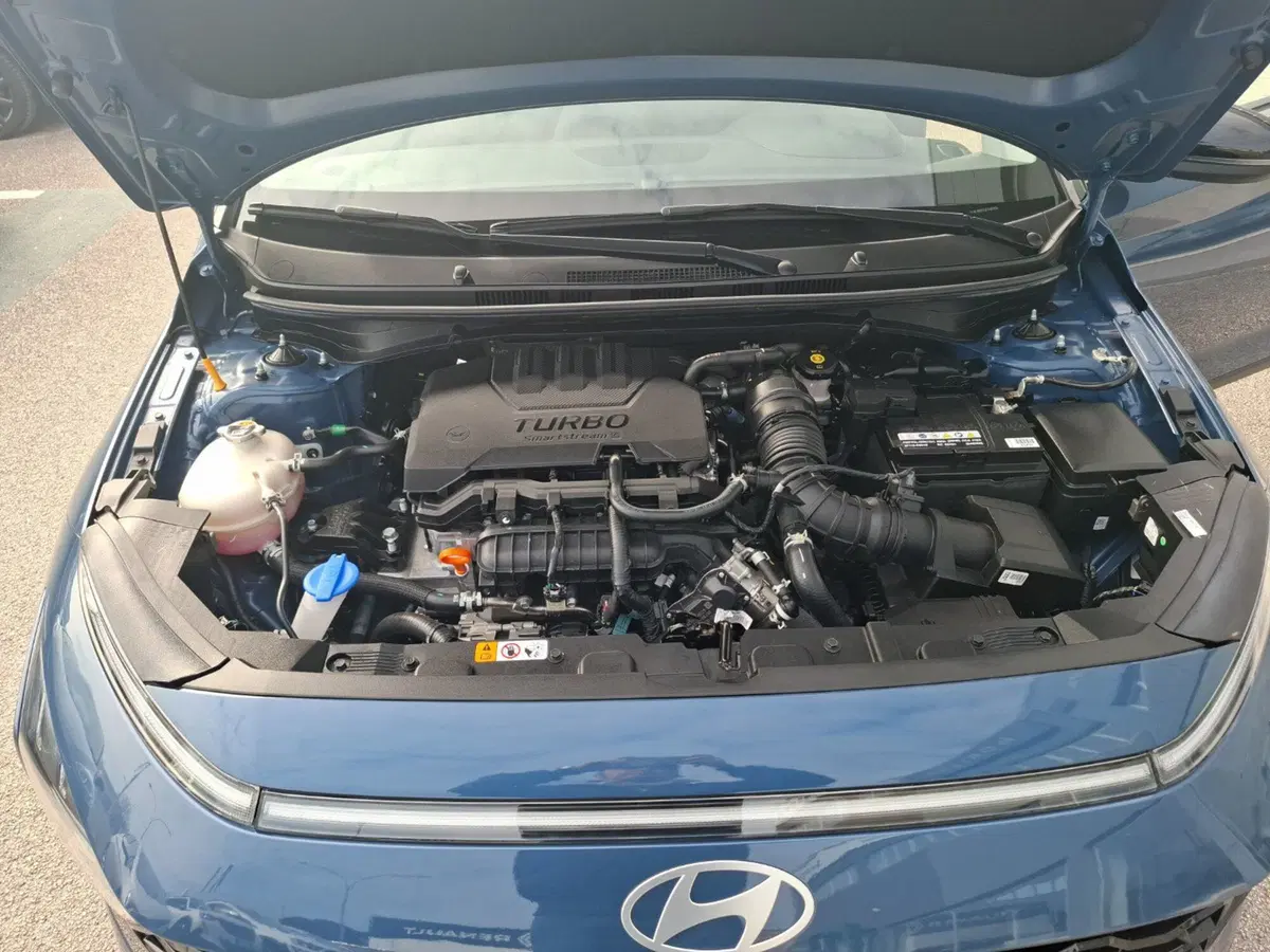 Hyundai Bayon nuova a Ancona (13)