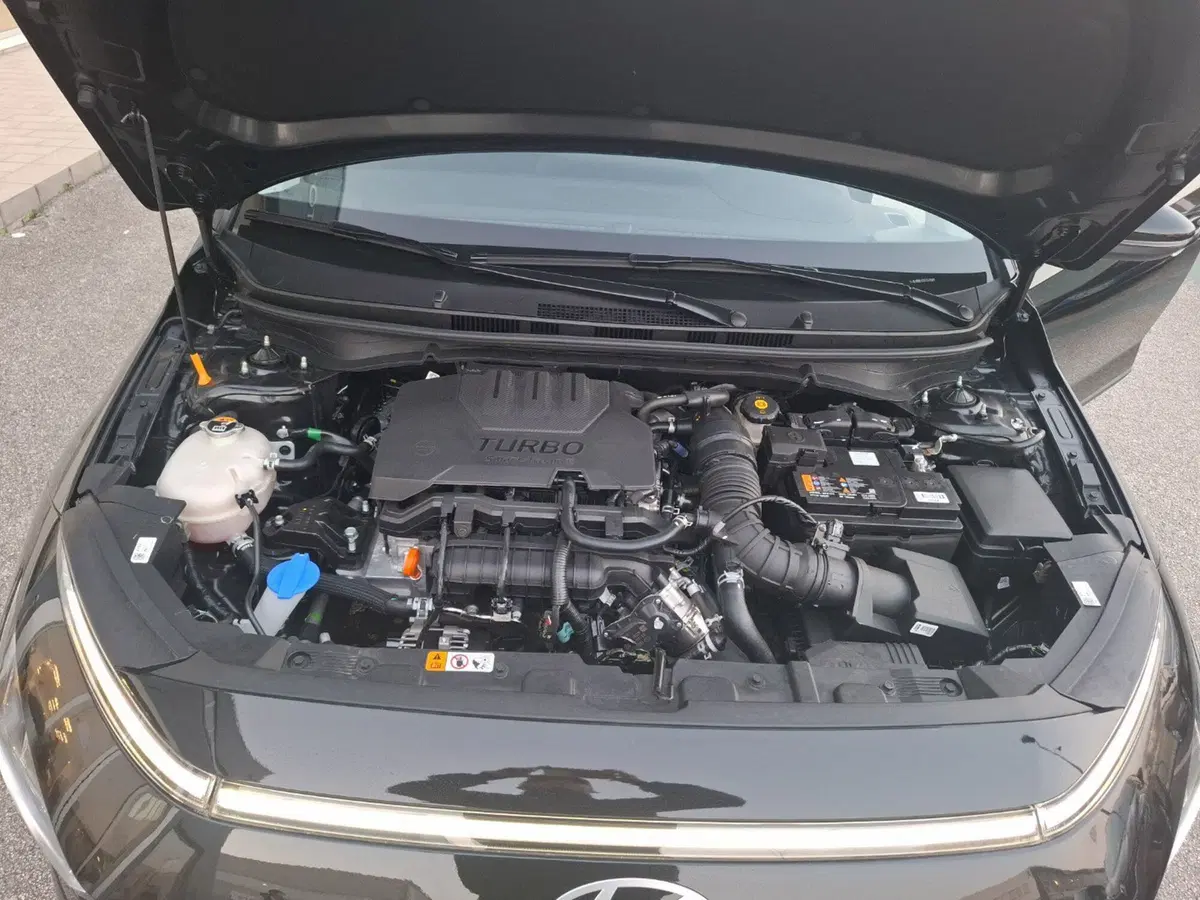 Hyundai Bayon nuova a Ancona (13)