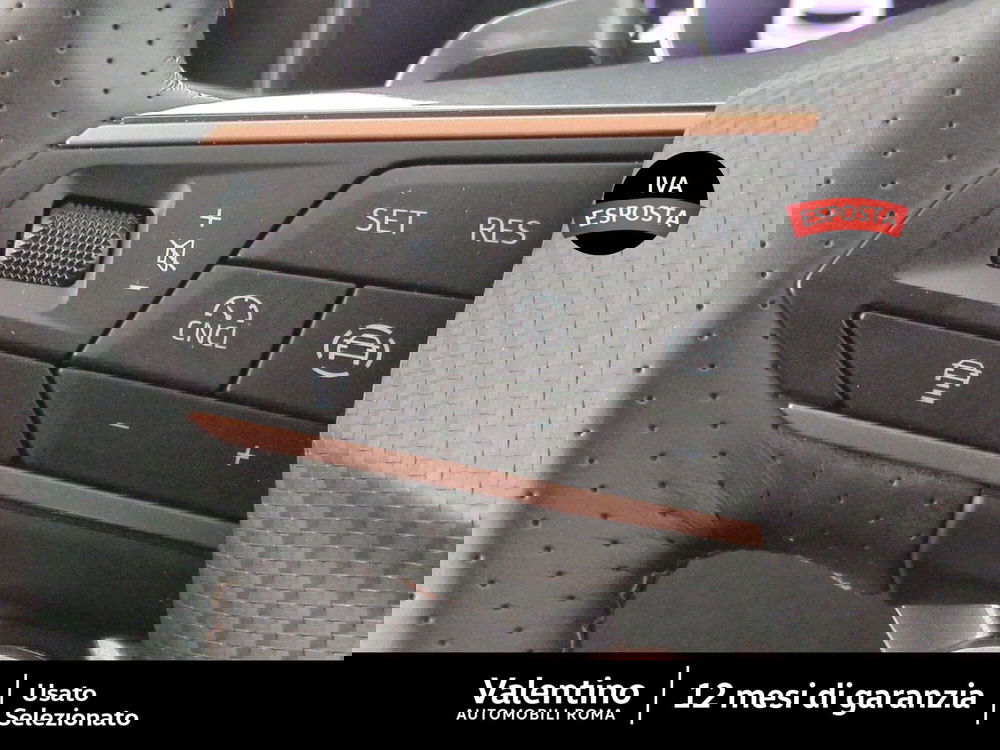 Cupra Formentor usata a Roma (15)