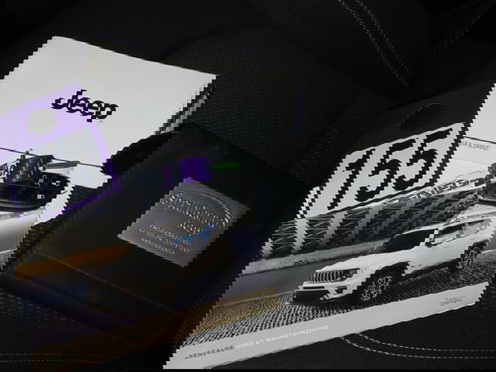 Jeep Renegade usata a Genova (20)