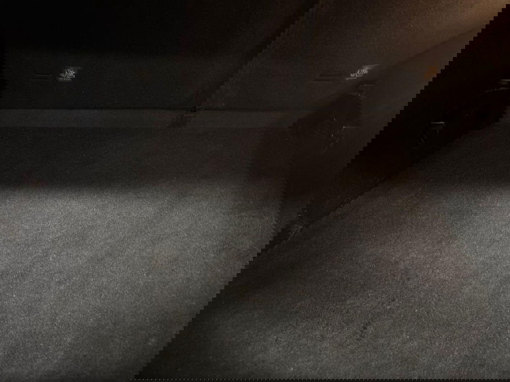 Mg ZS usata a Torino (10)