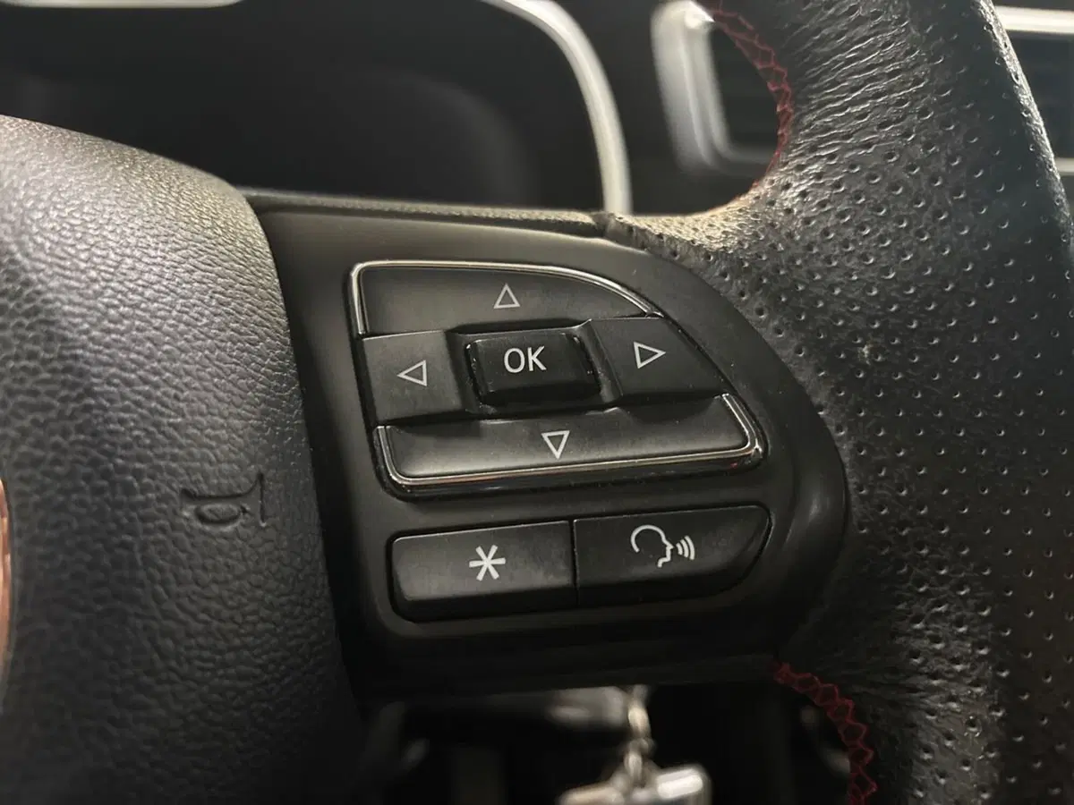 Mg ZS usata a Torino (15)