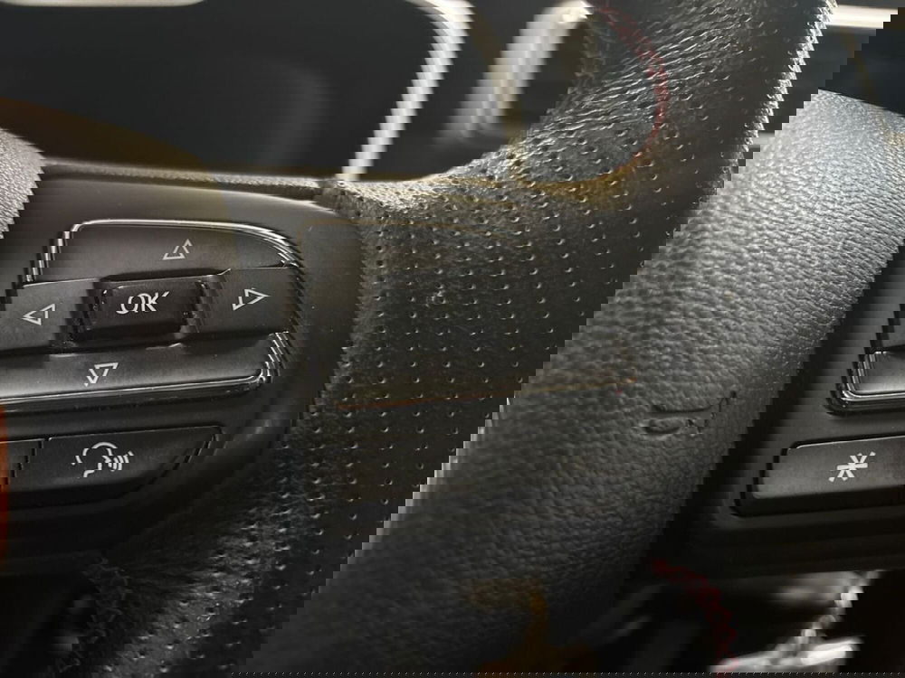 Mg ZS usata a Torino (15)