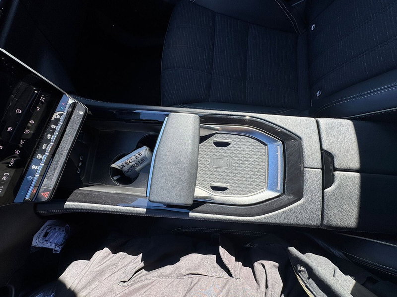 Renault Austral usata a Pavia (14)