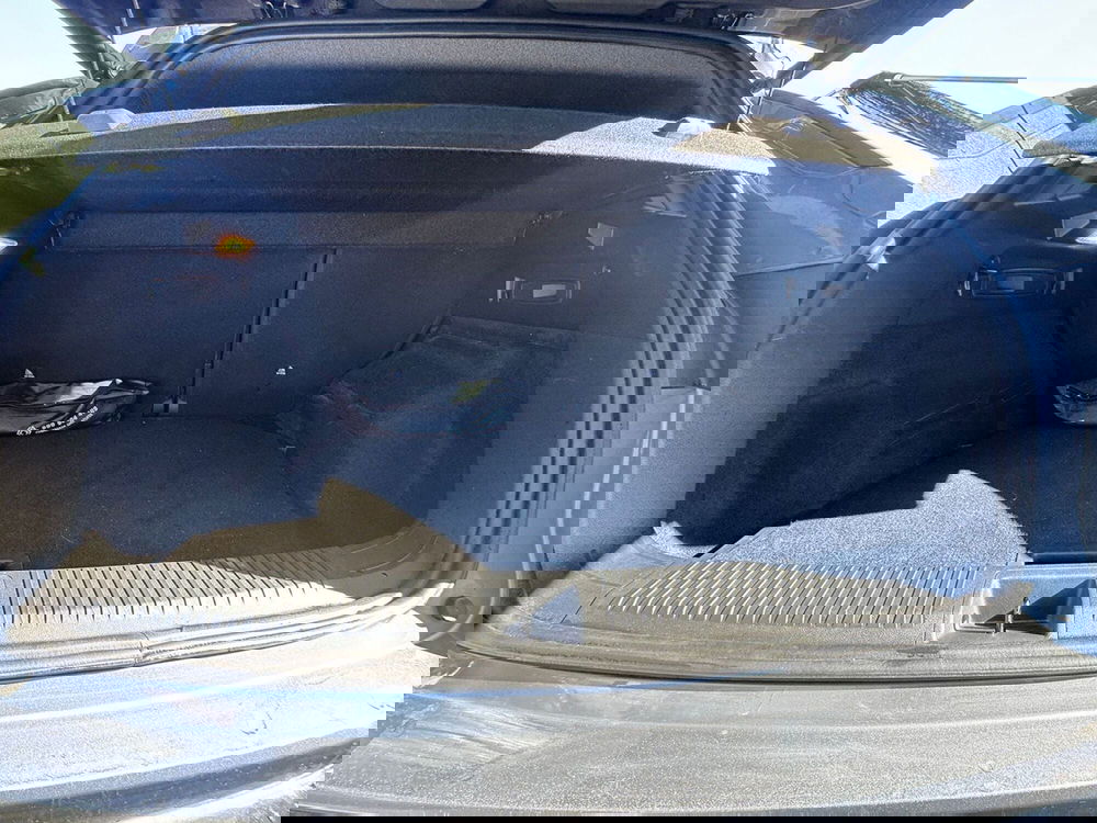 Renault Austral usata a Pavia (5)