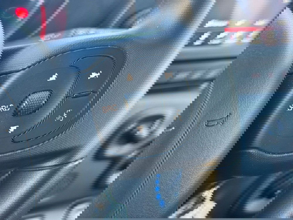 Fiat Panda Cross usata a Pavia (2)