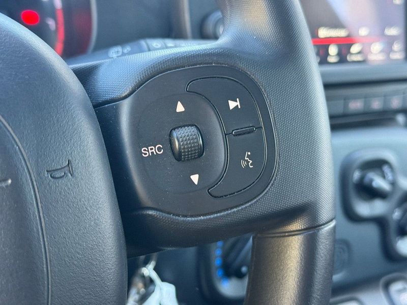 Fiat Panda Cross usata a Pavia (2)