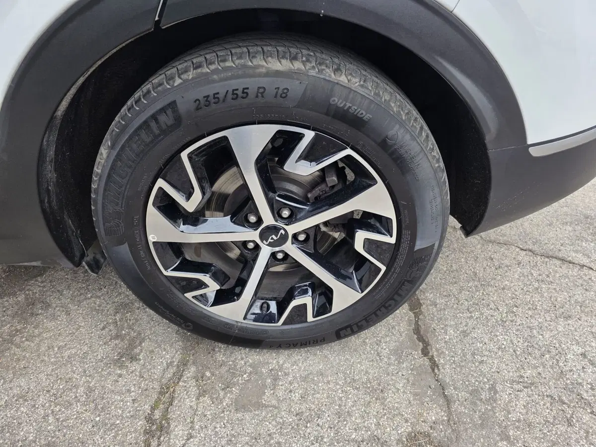 Kia Sportage usata a Rimini (12)
