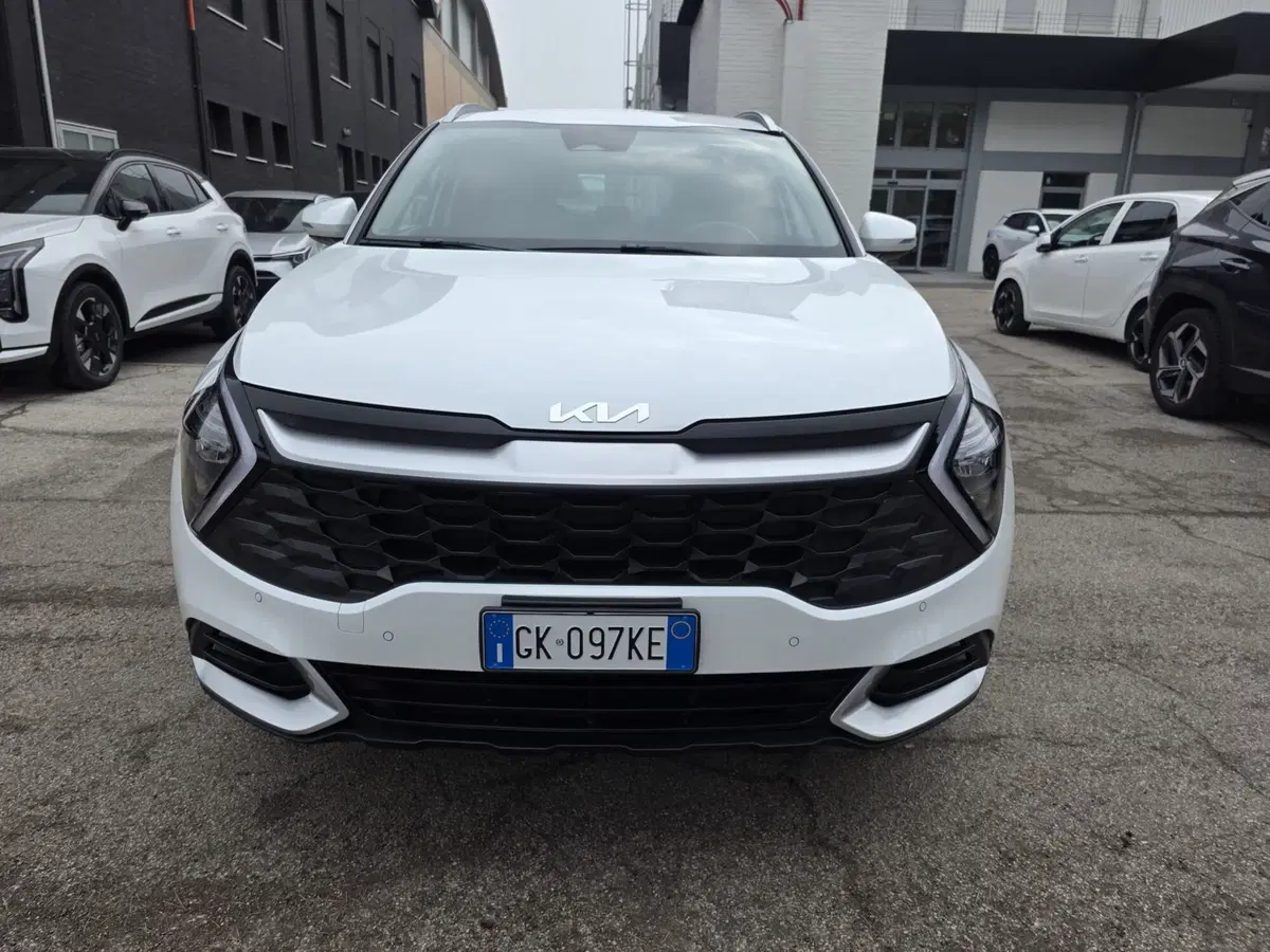 Kia Sportage usata a Rimini (2)