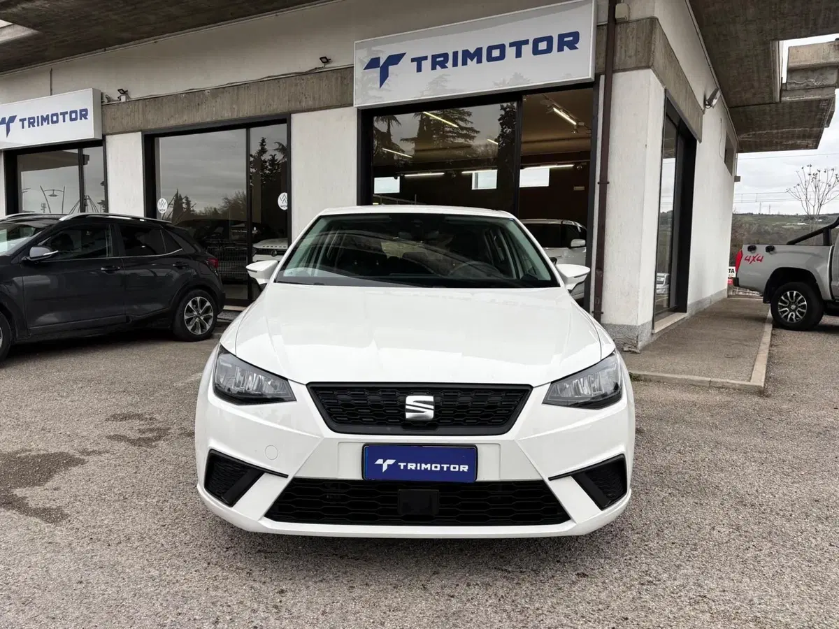 SEAT Ibiza usata a Teramo