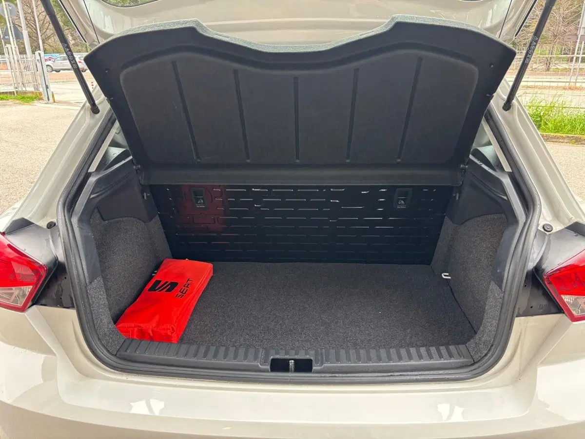 SEAT Ibiza usata a Teramo (13)