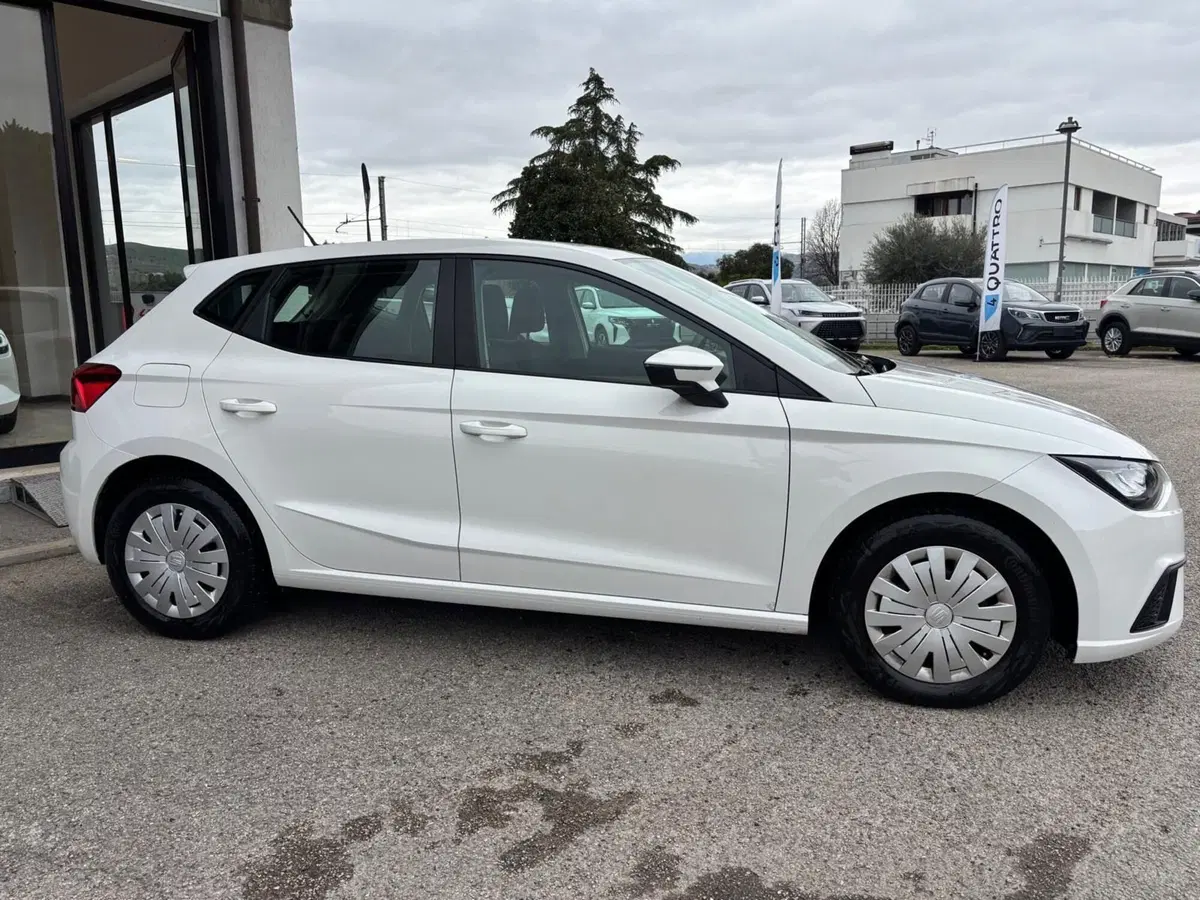 SEAT Ibiza usata a Teramo (2)