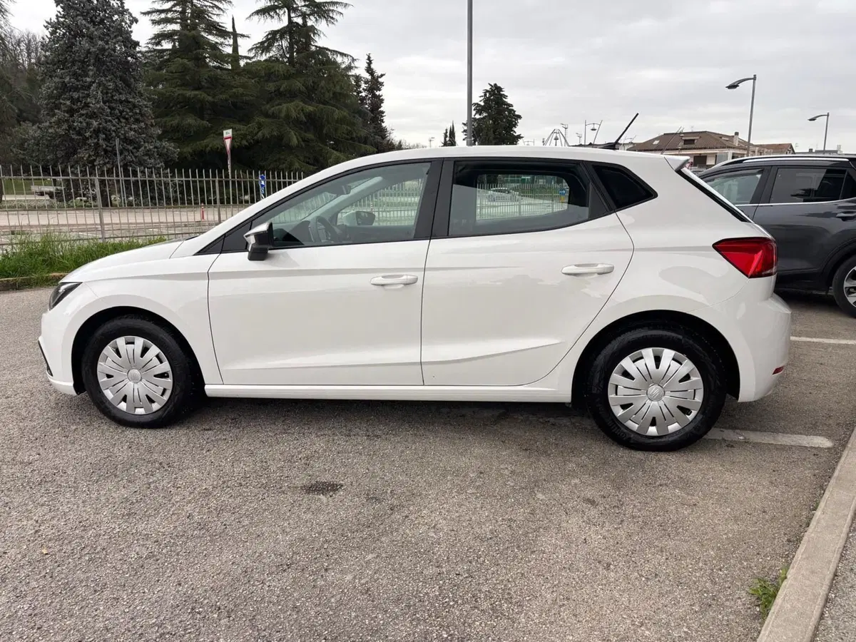 SEAT Ibiza usata a Teramo (3)
