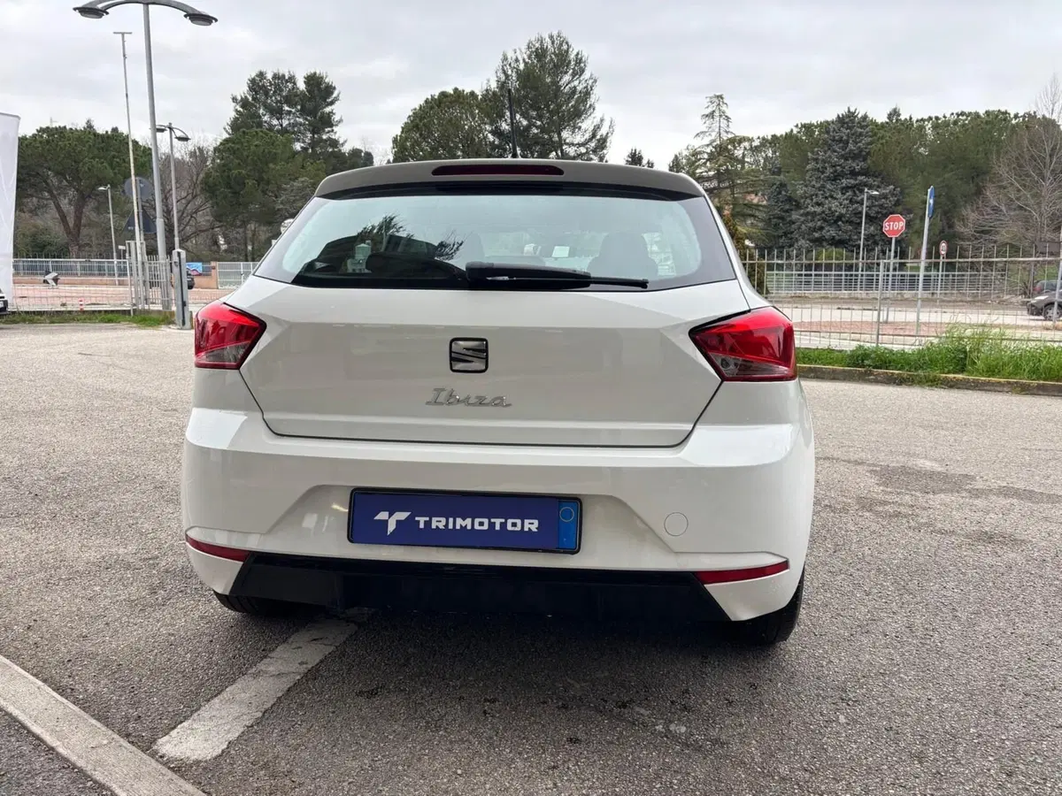 SEAT Ibiza usata a Teramo (4)