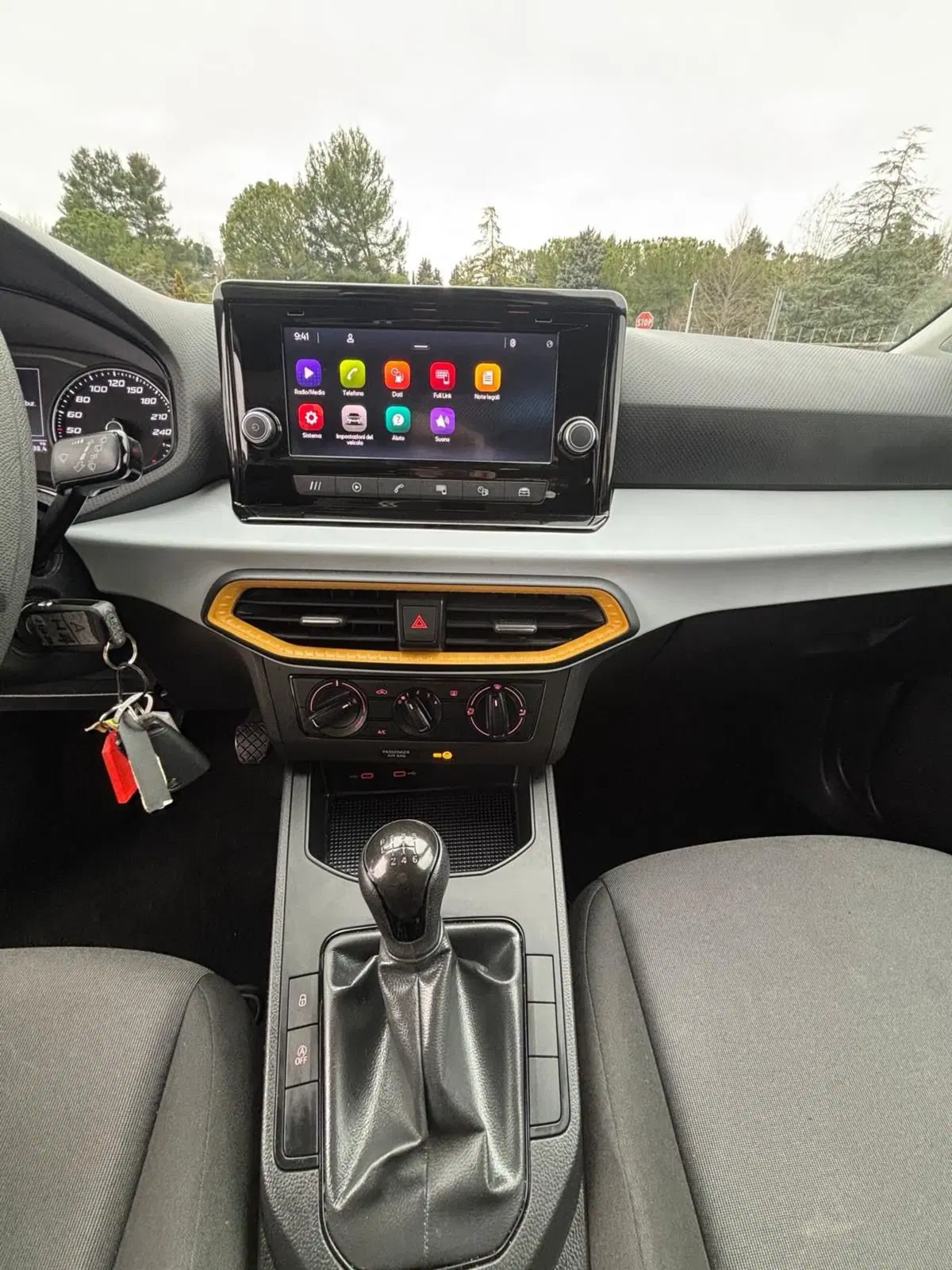 SEAT Ibiza usata a Teramo (7)