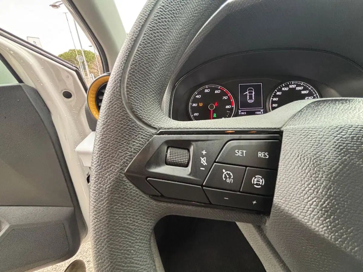 SEAT Ibiza usata a Teramo (8)