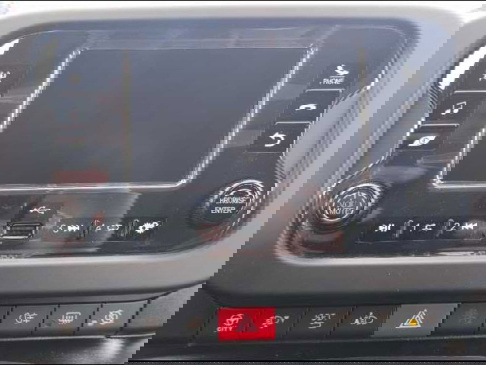 Fiat Panda Cross nuova a Roma (13)