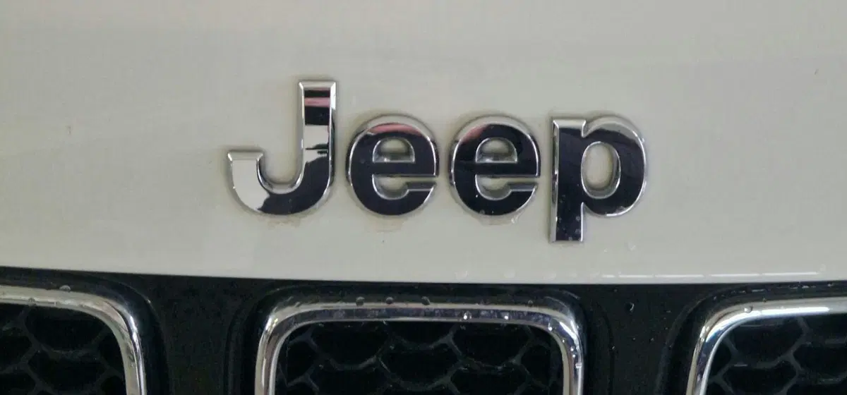 Jeep Compass usata a Terni (20)