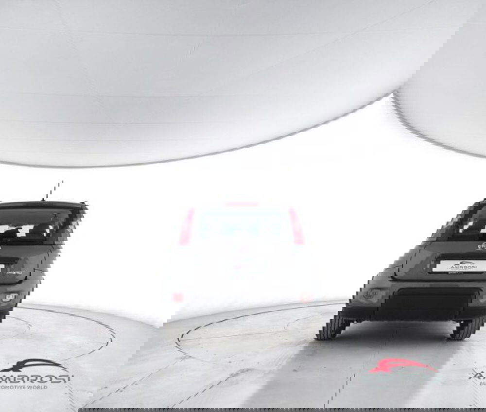 Fiat Panda usata a Perugia (6)