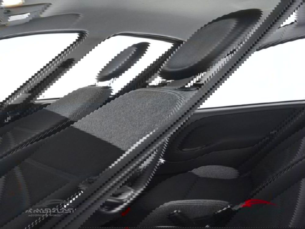 Fiat Panda usata a Perugia (9)