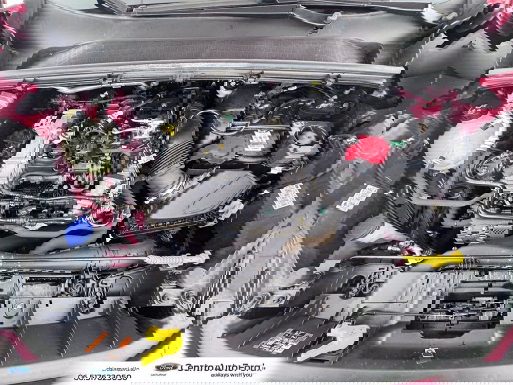 Ford Puma usata a Roma (12)