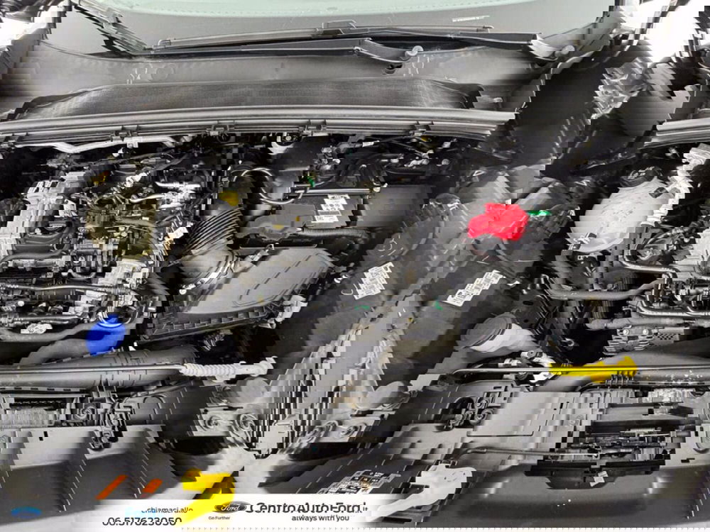 Ford Puma usata a Roma (12)