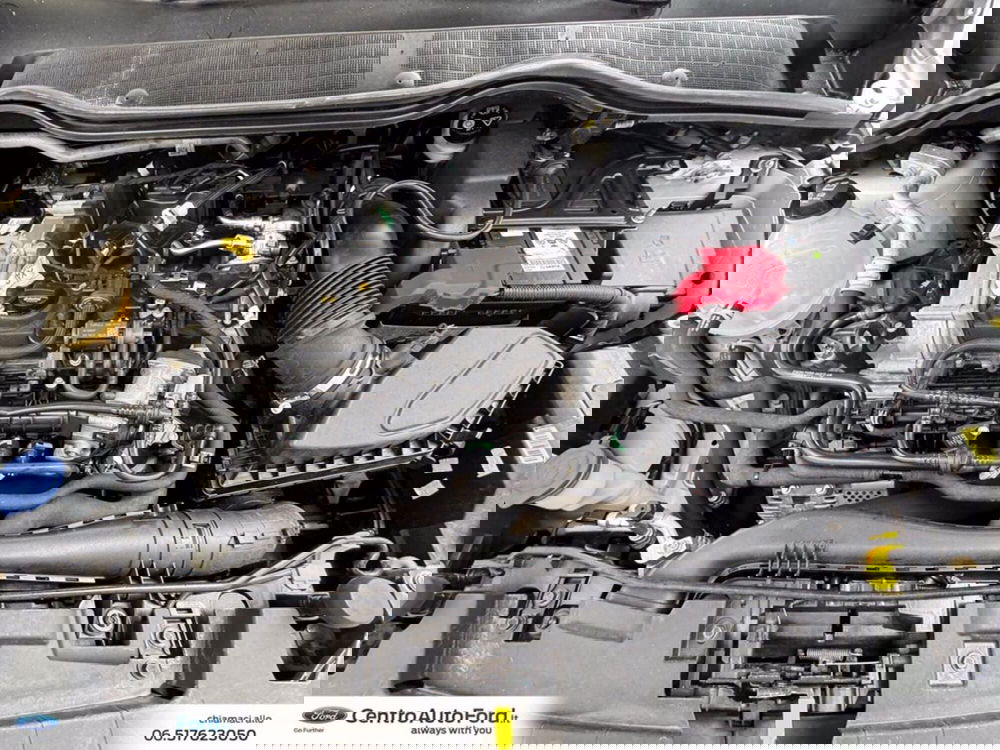 Ford Fiesta usata a Roma (12)