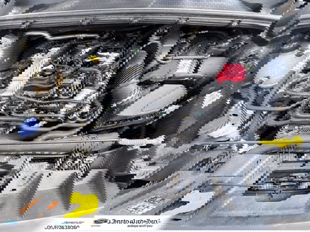 Ford Puma usata a Roma (12)