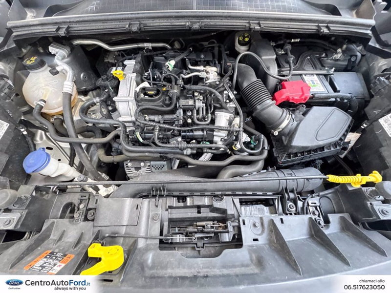 Ford Puma usata a Roma (12)