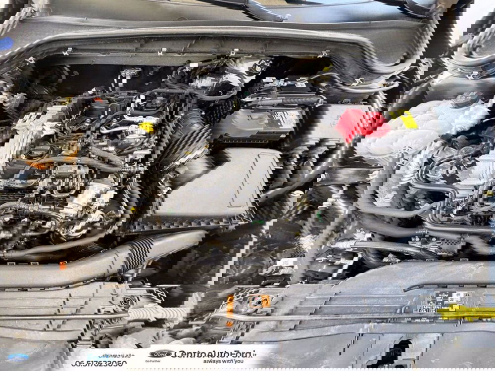 Ford Focus usata a Roma (12)