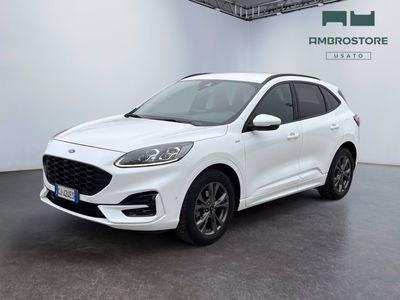 Ford Kuga 2.5 Full Hybrid 190 CV CVT 2WD ST-Line X del 2022 usata a Milano