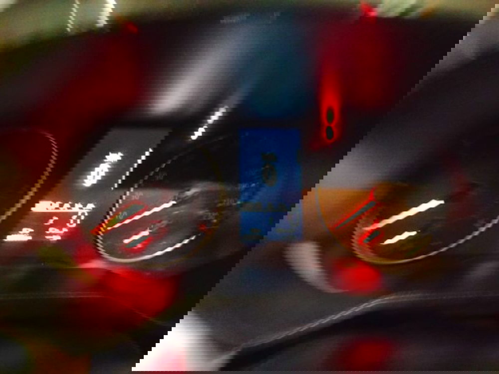 Renault Clio usata a Forlì-Cesena (14)