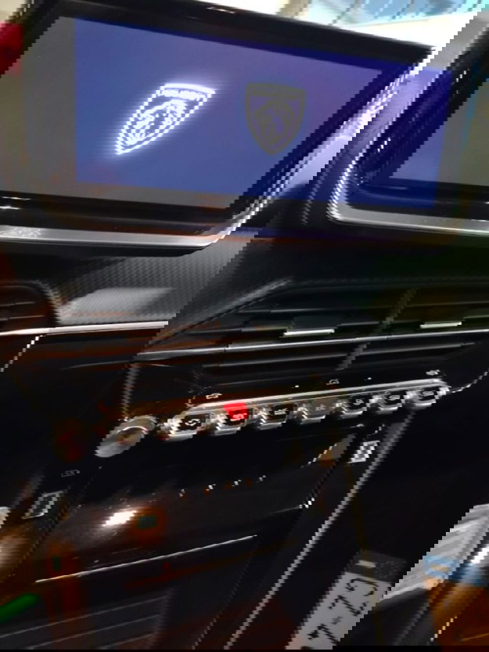 Peugeot 208 usata a Forlì-Cesena (17)