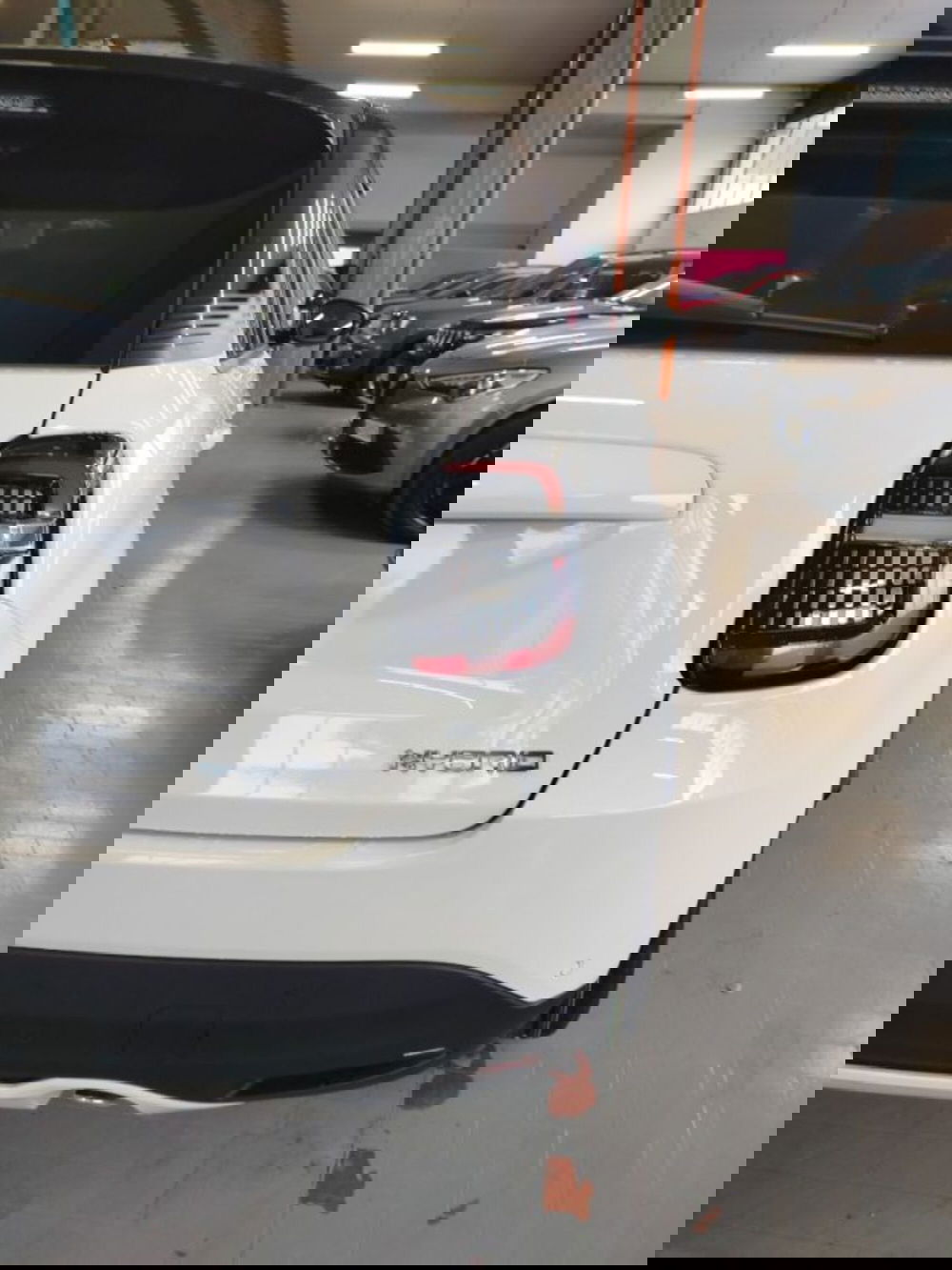 Fiat 600 nuova a Forlì-Cesena (13)