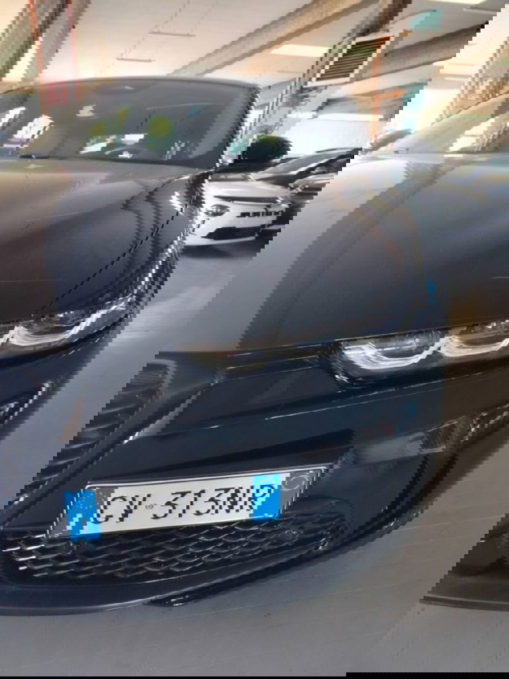 Alfa Romeo Tonale usata a Forlì-Cesena (10)