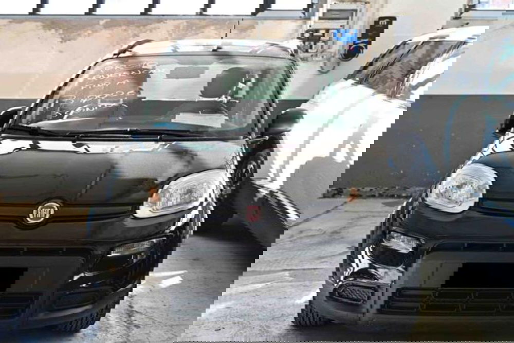 Fiat Panda usata a Torino (2)