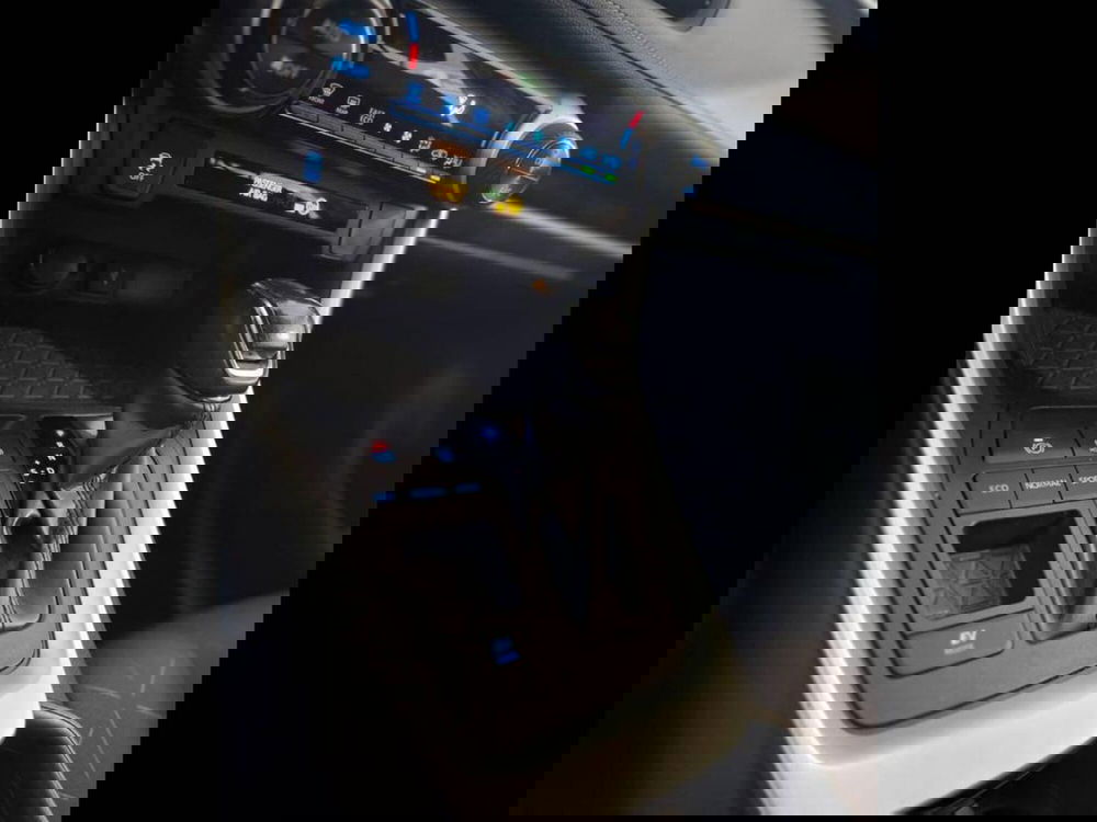 Toyota Rav4 usata a Torino (9)