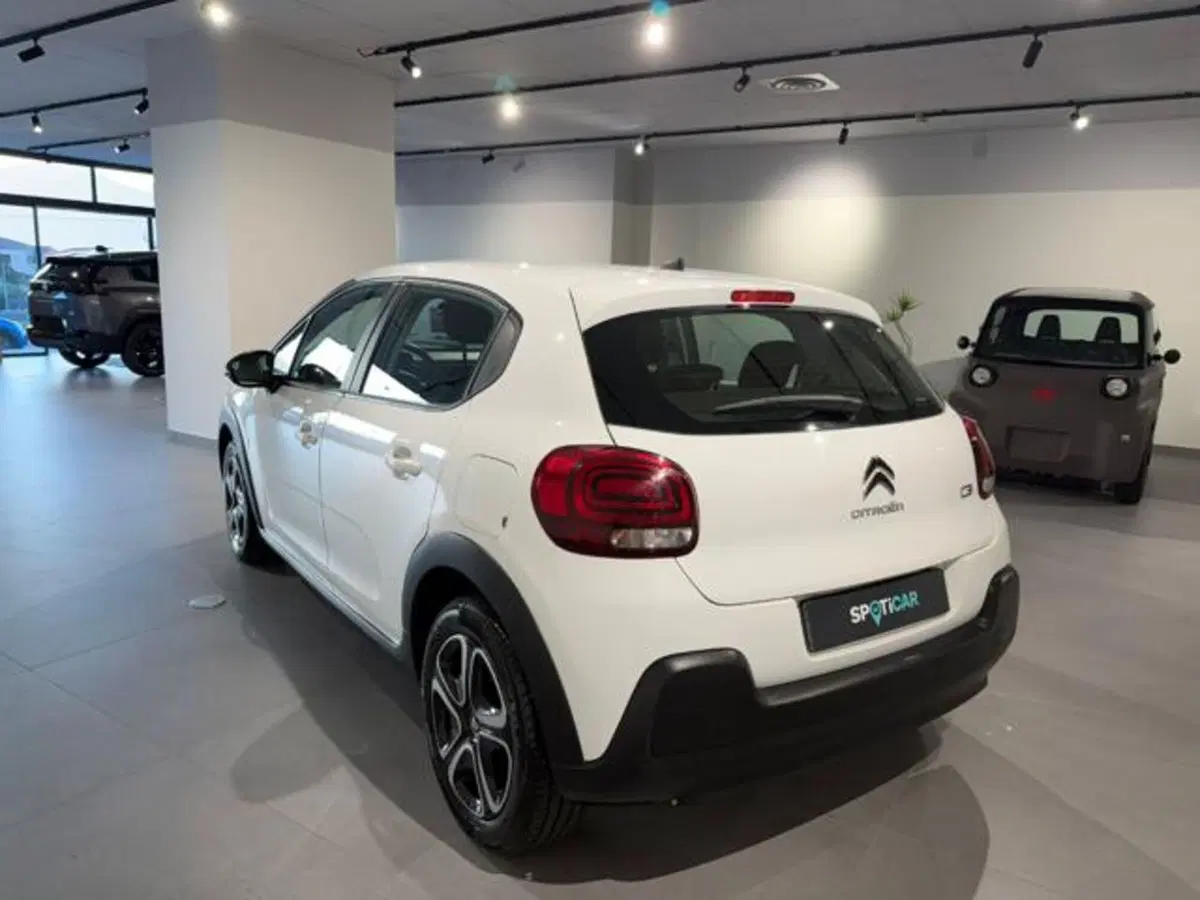 Citroen C3 usata a Salerno (6)